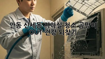 안동 신세동 지하실 청소🧹 곰팡이 OUT! 건강 되찾기💪