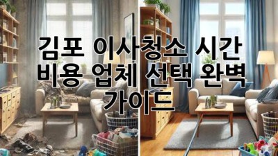 김포 이사청소: 시간, 비용, 업체 선택 완벽 가이드
