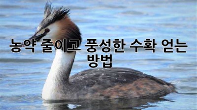 농약 줄이고 풍성한 수확 얻는 방법