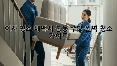 이사 청소: 태백시 통동 주방 완벽 청소 가이드